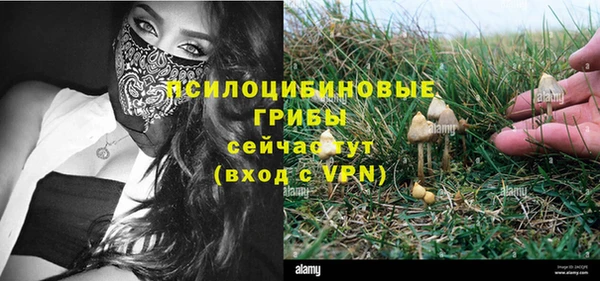 эйфоретик Богданович