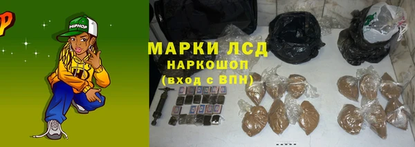 эйфоретик Богданович