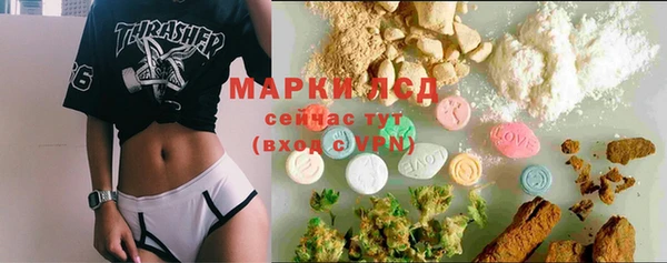 эйфоретик Богданович